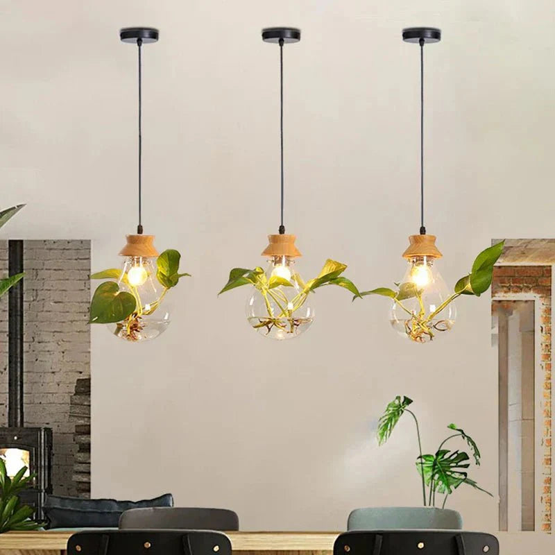 EcoSphere - Lampes en verre pour plantes - Illuminez votre intérieur - Design unique et naturel